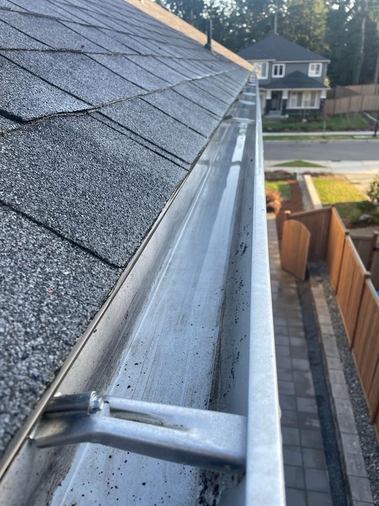 Gutter Cleaning