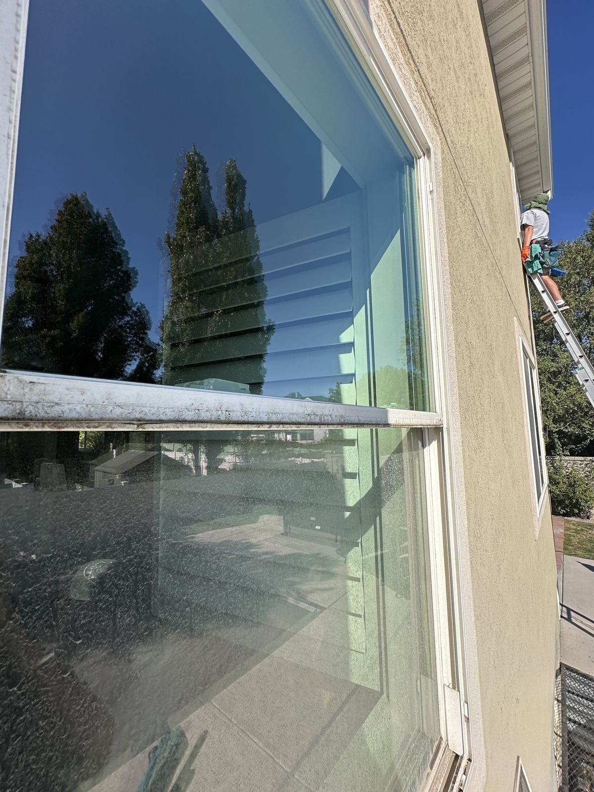 Window Cleaning