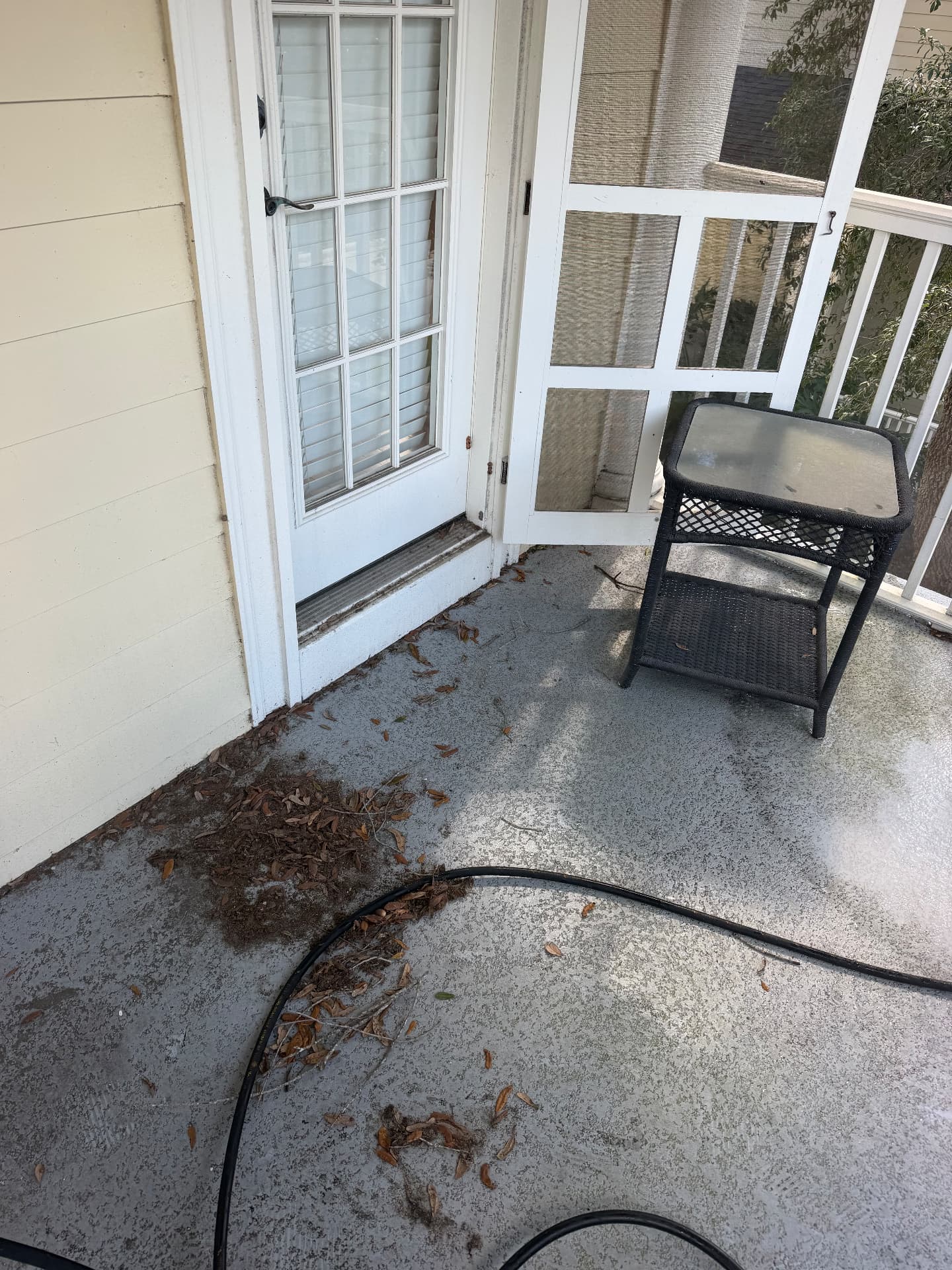 Upper balcony floor with piled leaves and debris along the railing before pressure washing in Orlando, FL